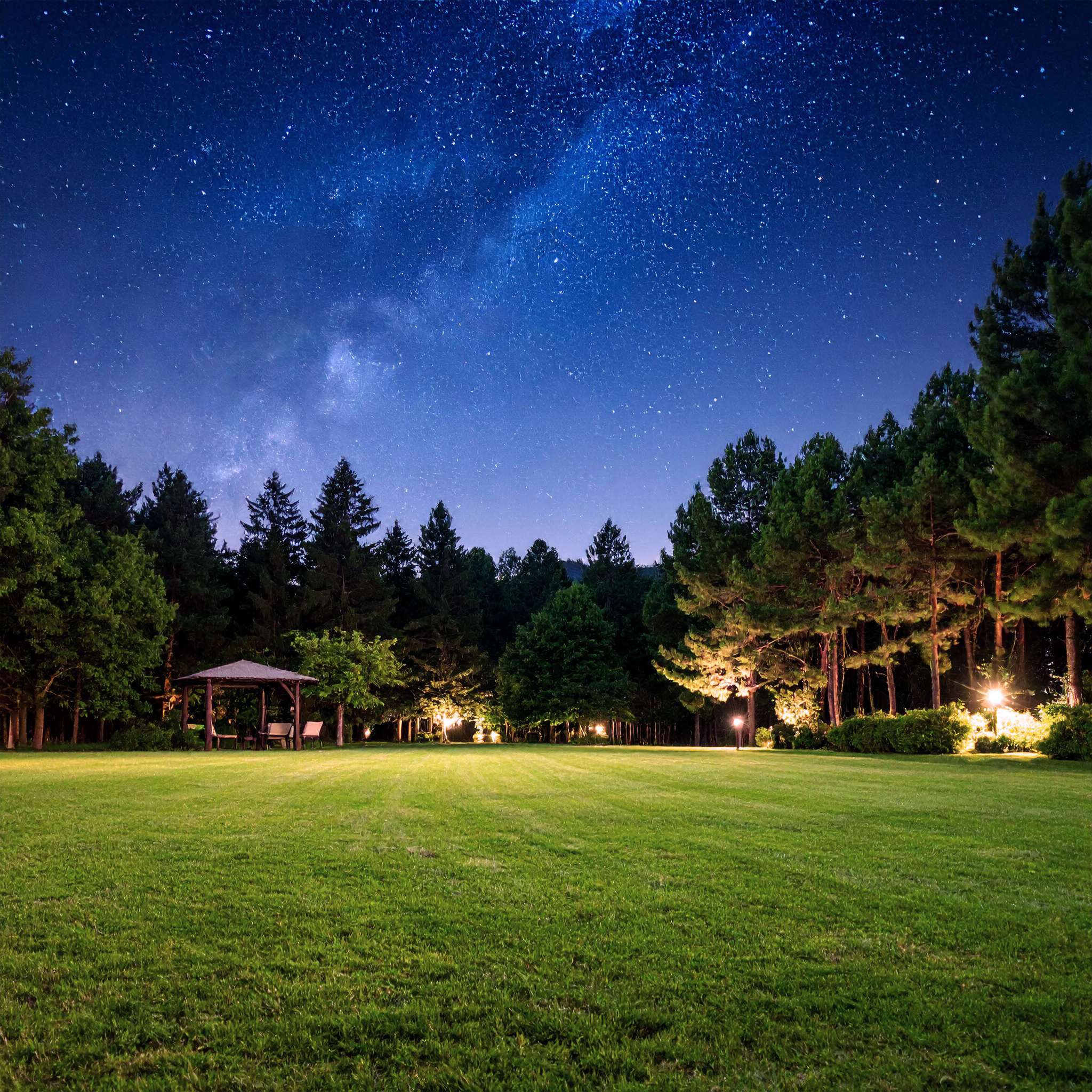 芝生と星空の写真